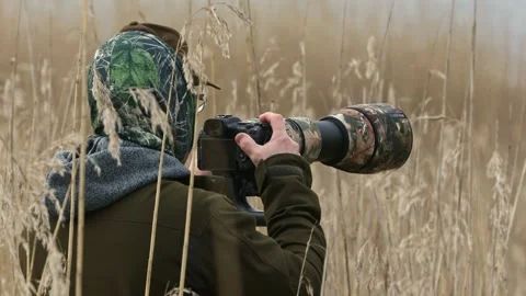 Bird photographer Stock Footage 240194746