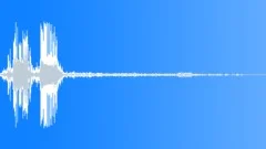 Bird Pigeons Flock Takeoff Sound Effect