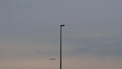 A bird a plane and a light pole 4k 30fps video Stock Footage 281115492