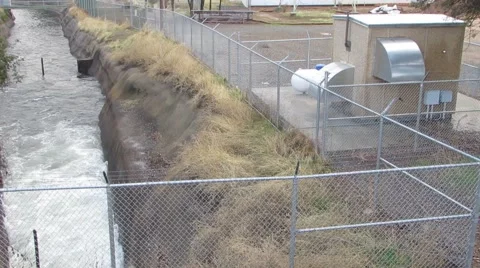 Bird  playing on a fence Stock Footage 44685261