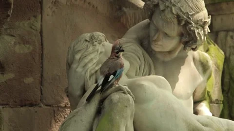 Bird plays on statue in Paris Stock Footage 172385149