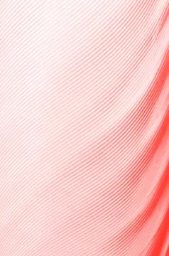 Bird plumage textures Stock Photos