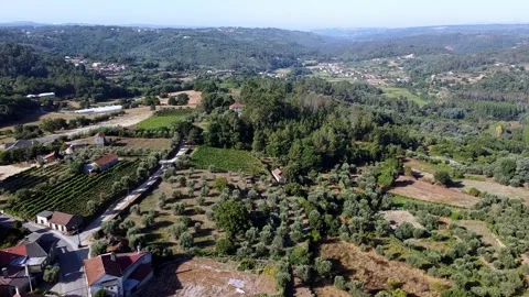 Bird Point of View in the Countryside 2K Video stock 237818314