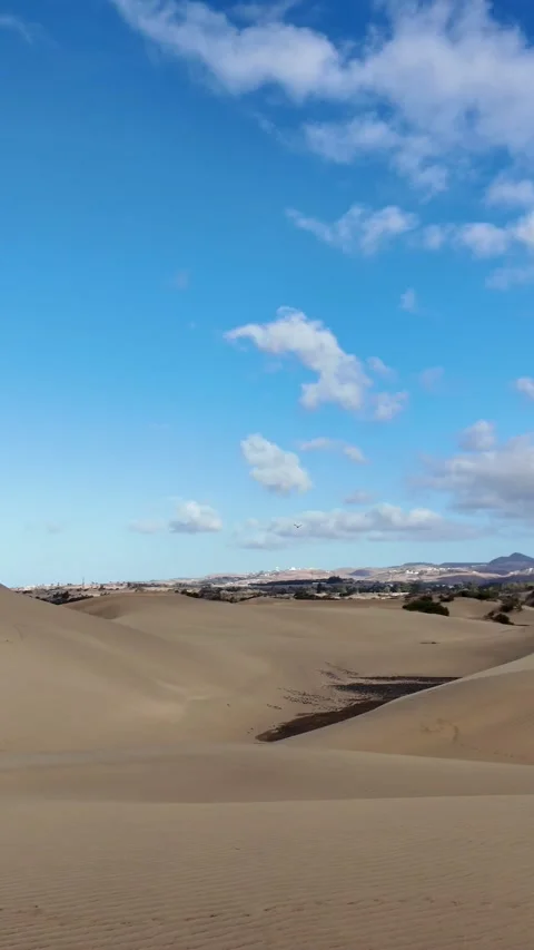 Bird of prey flying over the Maspalomas sand dunes in slow motion Stock Footage 346177680
