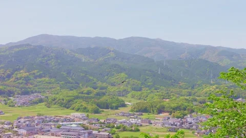 A bird of prey gliding gracefully over lush mountains in Saga, Japan Stock Footage 333205210