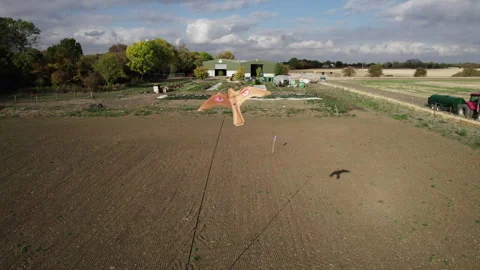 Bird of prey kite flying over agricultural field Stock Footage 340545503