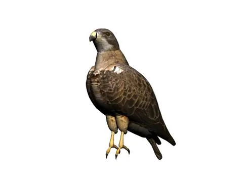 Bird of prey with a sharp beak and claws Ilustración de archivo