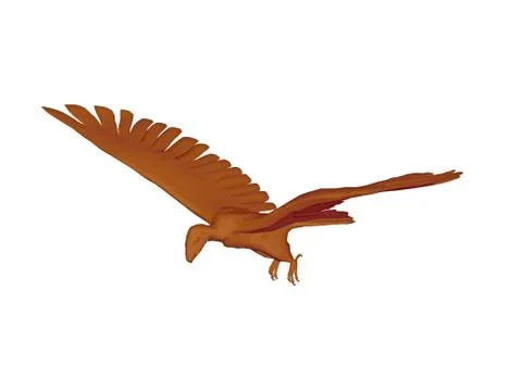 Bird of prey with a sharp beak looks for prey Ilustración de archivo