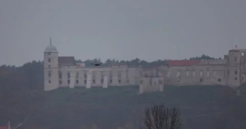 Bird of prey soars on the background of the castle, 4K slomo Stock Footage 166171366