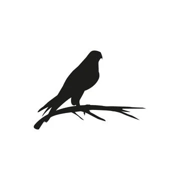 Bird of prey on tree branch.Vector illustration Stock Illustration
