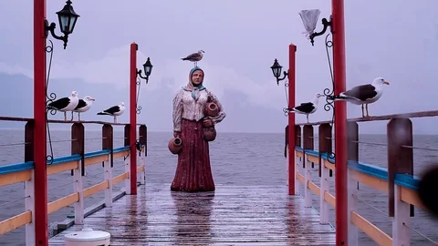 Bird in the rain 2 Video stock 74875222