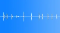 BIRD, RAVEN, COMMON Sound Effect