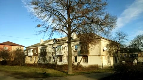 Bird raven on the tree Stock Footage 166226717