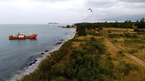 Bird by a red boat on the coast Stock Footage 88141122