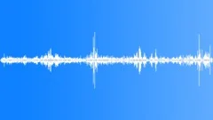BIRD, RESIDENTIALSound Effect