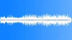 BIRD, RESIDENTIAL Sound Effect