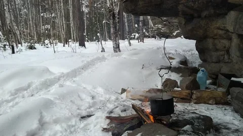 A bird at rest for tea Stock Footage 148198358