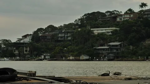 A bird resting on fishing float with Sydney expensive homes in background 動画素材 260109202
