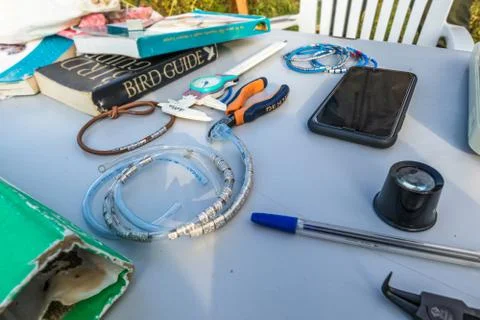 Bird Ringing Station Tools Set Up Stock Photos