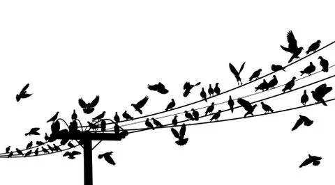 Bird roost Illustrazione stock