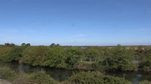 Bird Sanctuary Stock-Footage 11413247