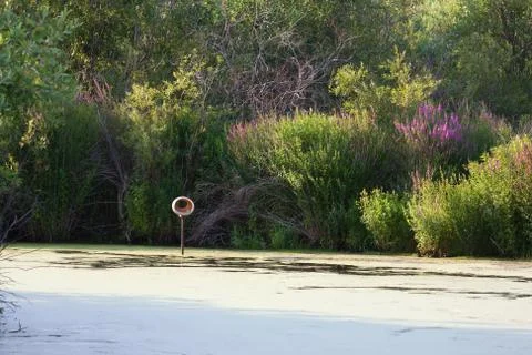 Bird sanctuary Stock Photos