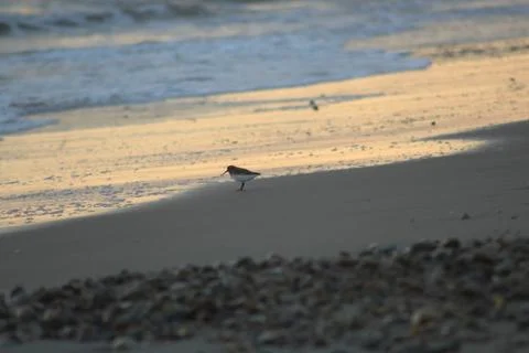 A Bird Sanctuary Stock Photos