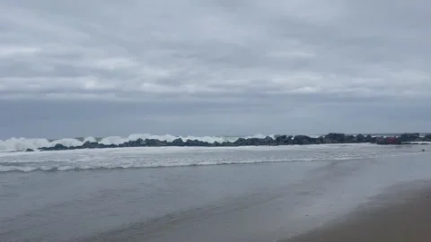 Bird Sand Wave HD Stock Footage 175898282