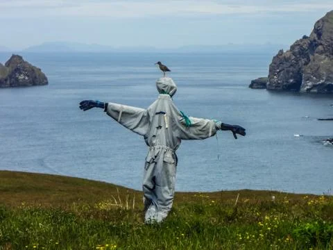 Bird on Scarecrow 스톡 사진