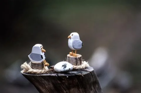 Bird scene on a tree stump 스톡 사진