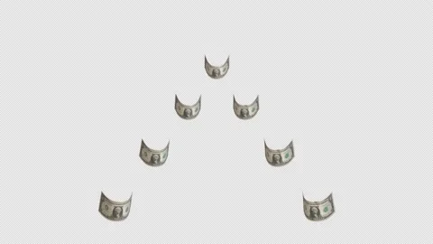 Bird School Of Dollars Video stock 168570589