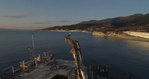 Bird on a scuttled ship 스톡 동영상 102065291