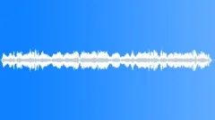 BIRD, SEAGULL Sound Effect