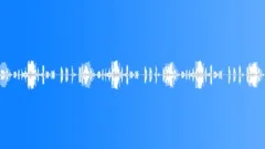 BIRD, SEAGULLSound Effect