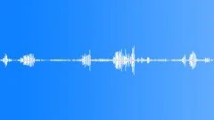 BIRD, SEAGULLSound Effect