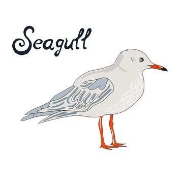 Bird seagull vector illustration Stock Illustration