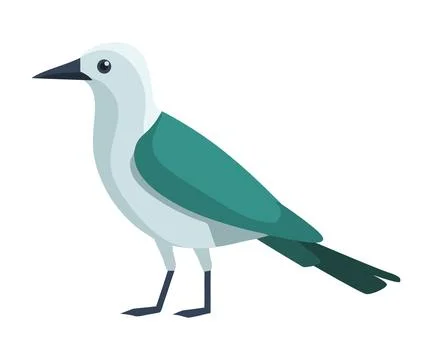 Bird seagull on white background Illustrazione stock