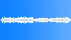 BIRD, SEAGULLSSound Effect
