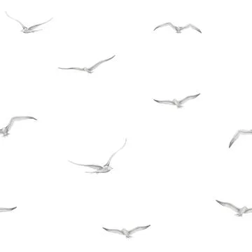 Bird seamless watercolor Pattern. Backdrop with flying seagulls and doves on Stock Illustration