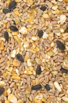 Bird seed mix Stock Photos