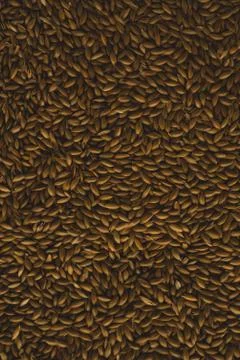Bird seeds, Macro close up Stock Photos