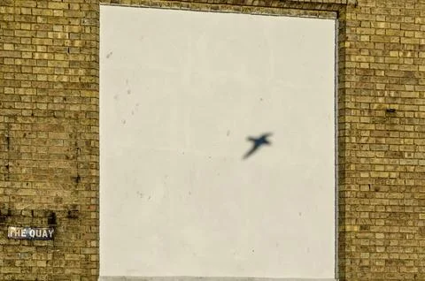 Bird shadow on a brick wall Stock Photos