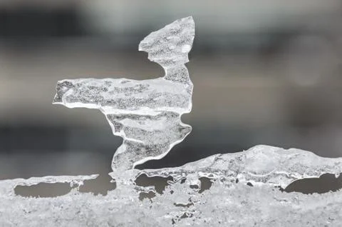 Bird shape made from ice window, winter time Stock Photos