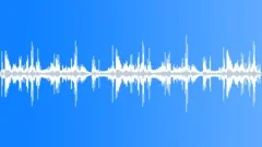 BIRD, SIBERIANSound Effect