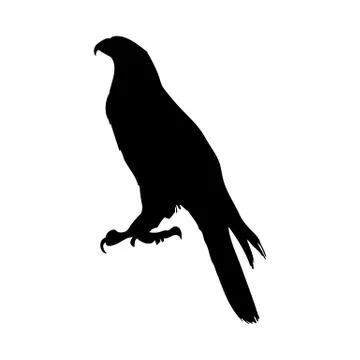 Bird Silhouette Stock Illustration