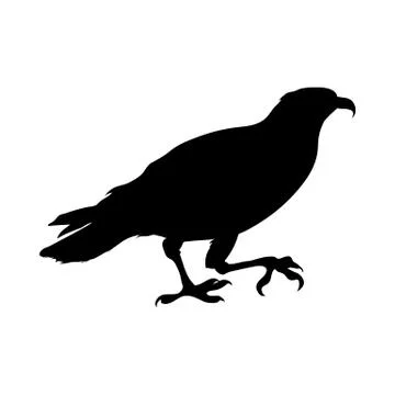 Bird Silhouette Illustrazione stock