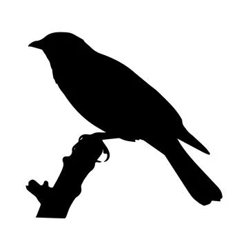 Bird Silhouette Illustrazione stock