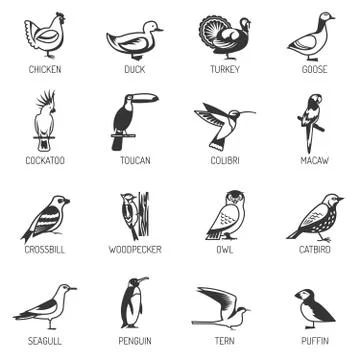 Bird Silhouette Set Stock Illustration
