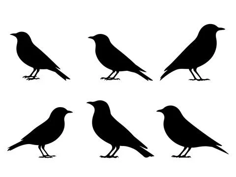 Bird silhouette vector set on white background Stock-Illustration