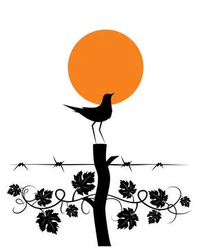 Bird silhouette on wire and sun illustration, vector. Minimalism art design Stock Illustration